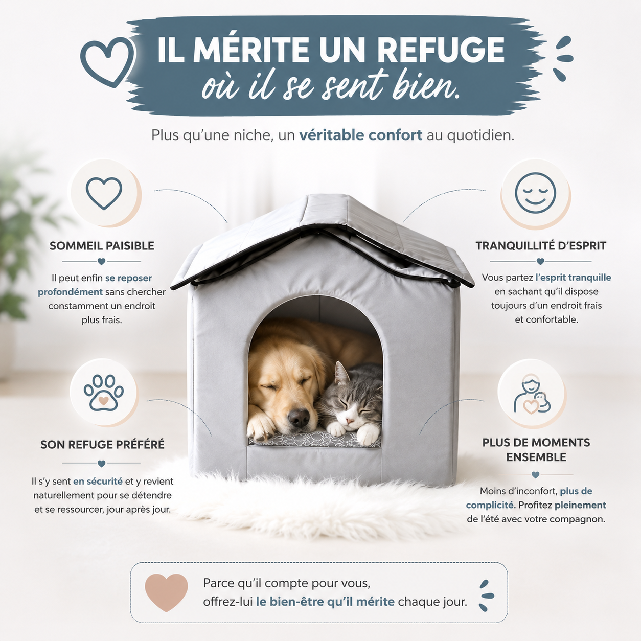 Niche Rafraîchissante Premium pour Chat et Chien