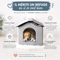 Niche Rafraîchissante Premium pour Chat et Chien